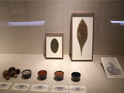 佛光緣美術館西來館　「陶瓷和紡織品與大自然的循環關係」開展