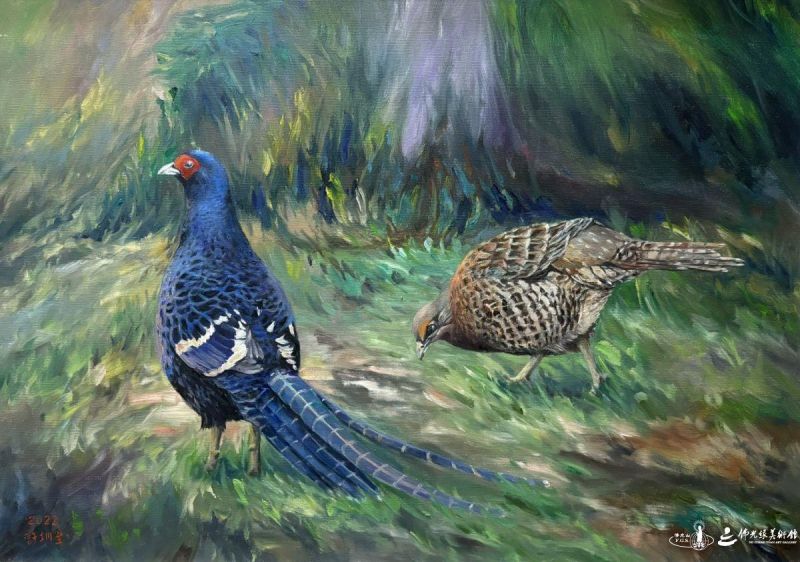 許圳至2022守護-雉愛油彩65x91cm Tainan20260712-02
